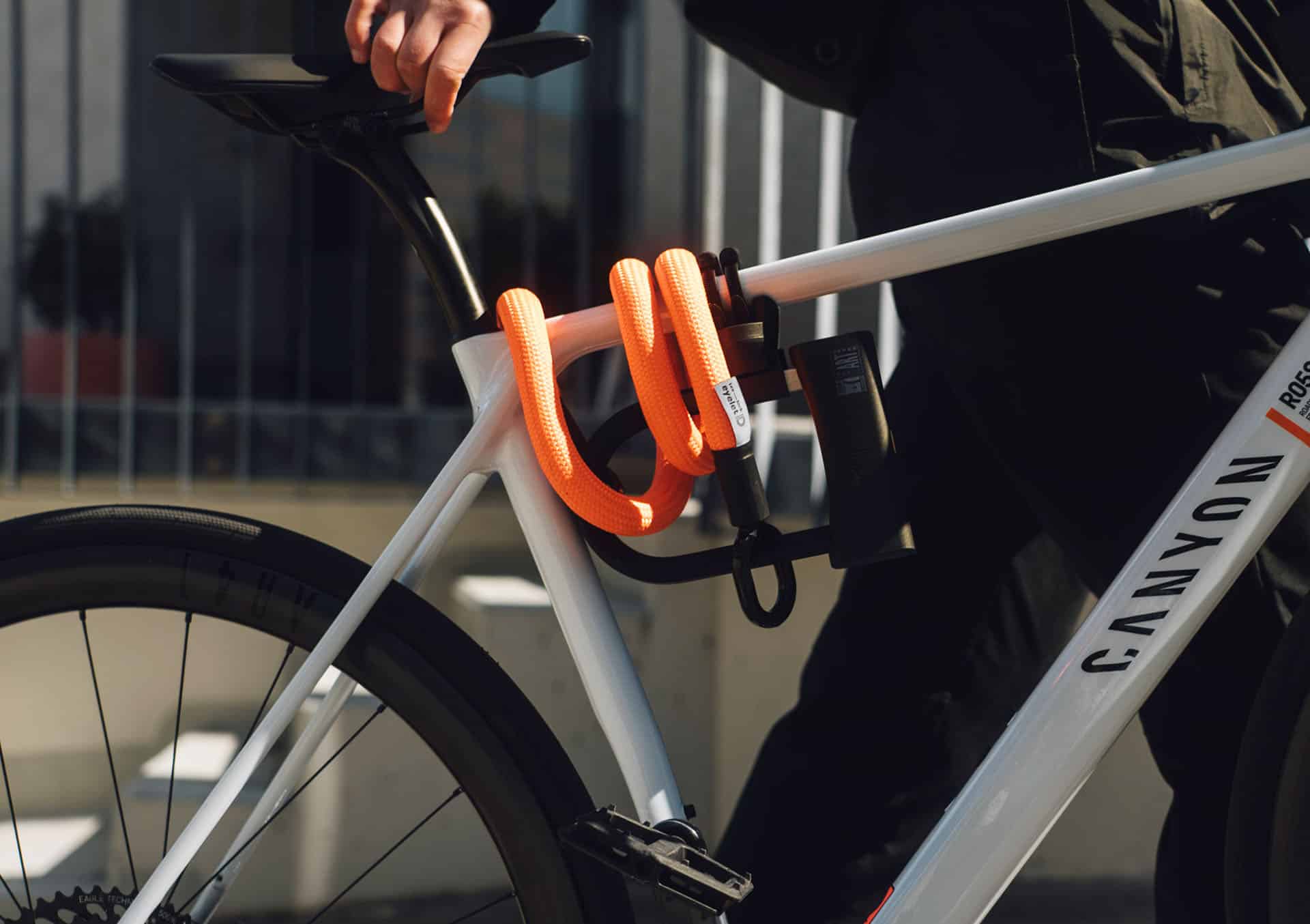 Anwendungsbild Halterung mit D-lock